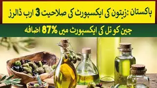 Pakistan has $3 Billion Olive Oil Export potential | Rich Pakistan