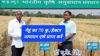 गेहूं उत्पादन की उच्च तकनीकी. डॉ ए के सिंह गेहूं अनुसंधान संस्थान इंदौर