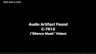 Audio Artifact Found