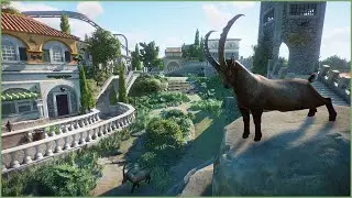 🇸🇲🐐Alpine ibex mountain habitat (Little San marino) | Amalfina Zoo | Planet Zoo | speedbuild🌴🇸🇲