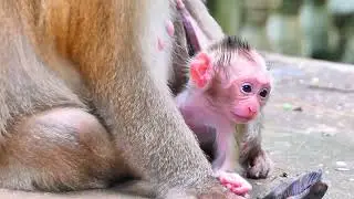 Big Sister JUTTA Gently Helps Her Little Brother Learn to Walk, But He Feels no trust.