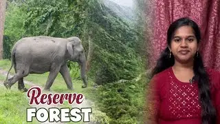 Reserve Forest | Save Tamilnadu Reserve Forest |Initiate #7