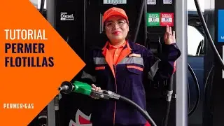 Tutorial Permer Flotillas: Aprende paso a paso