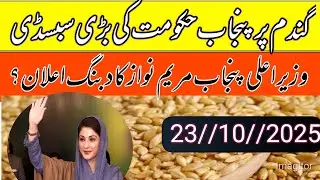 Wheat subsidy program in punjab pakistan/fertilizer big subsidy program 2025-26/local farmers