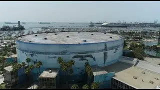 Wyland&rsquo;s Whale Murals Are Larger Than Life