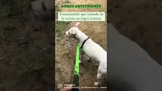 Arn&eacute;s antitrones