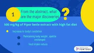Piper betle