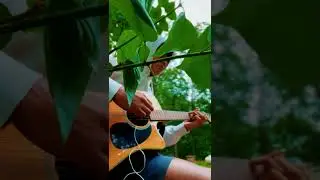 ernest-flower shops (guitar cover) #guitar #shorts