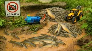 Catch fish using mini water pump | fishing exciting | diy tractor | Mini Fish Creator
