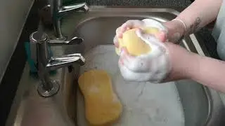 Asmr Soapy squeeze using Thick pine disinfectant 🧽