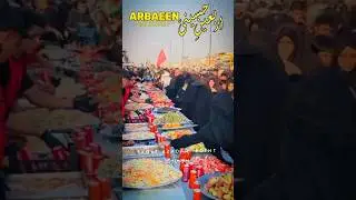 Fresh Fruits on Safar Ishq E Hussain | Arbaeen Walk 2025 | Najaf to Karbala Walk 2025