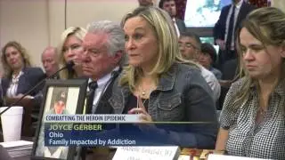 Panel 2 - Joyce Gerber, mother of Zach 2016