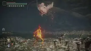 Malenia just got her shower... A Magma Shower! (no damage 13)
