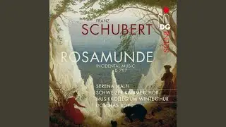 Incidental Music to Rosamunde, F&uuml;rstin von Zypern, D 797: II. Entre-Act I. Allegro moderato