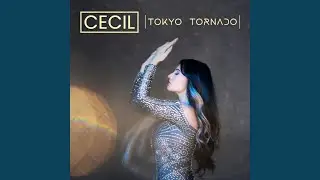 Tokyo Tornado