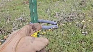 Homestead hack 💥 Save money on electric fence insulators!