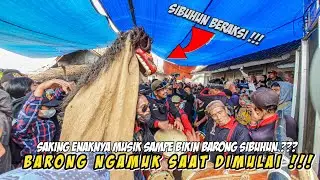 BARONG SI BUHUN NGAMUK!!! SAAT DOG DOG DIMULAI || Cuta Muda Grup Abah Jaka