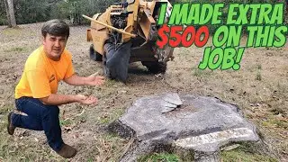 I Showed Up for two stumps&mdash;Left with an Extra $500 Job