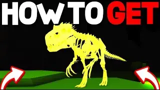 How To GET ALL DINO BONES LOCATIONS in ANIMAL SIMULATOR! (Grave Digger Quest) Roblox