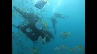 Nothing better than getting to spot your friends while doing an experience scuba diving program!