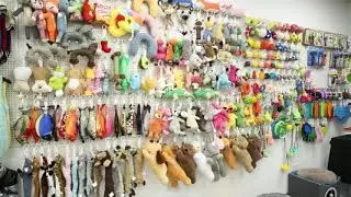 Pet product live show