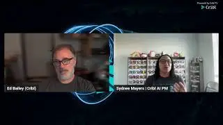 The One With A Cribl Copilot Overview