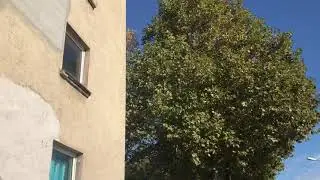 Asternweg