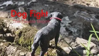 Dog Fight Episode 1:  The Trouble Begins / Schleich Dog/Wolf Series