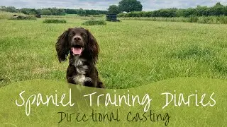 Gundog Training - Directional Casting (back)