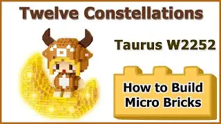 How to Build Mini Bricks Twelve Constellations Taurus W2252 Review Instructions Specifications