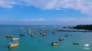 Aerial Serenity: Exploring a Sri Lankan Fishing Harbor from Above