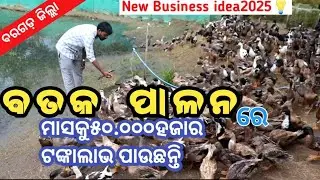 Bataka palan bargarh/Duck Farming in odisha/Bataka farm bargarh/Indian runner,Khakicallmal 2025