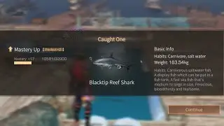 Life After | How To Fishing Koi & Blacktip Reef Shark