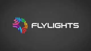 Компания Flylights