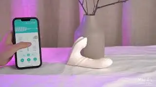 INJOY AgileJoy 3in1 Vibrating Tapping Suction App Control
