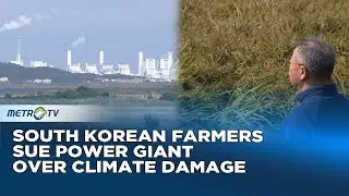 Historic Climate Lawsuit Shakes South Korea