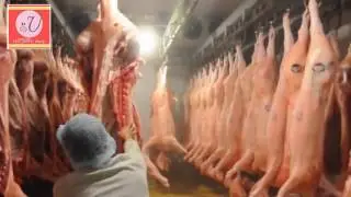 The Pork Shop ( Virginia Farms Inc.,)