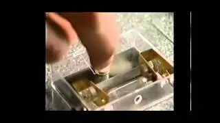 molecular movement I