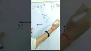 Lines vs. Line Segments: The Geometry Confusion Explained