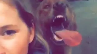 When You're Trying To Work And Keep Getting Sent Drunk Snapchats