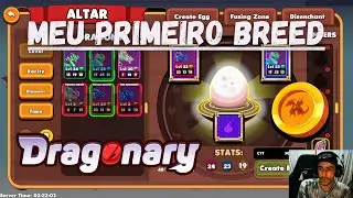 DRAGONARY MEU PRIMEIRO BREED + MINHAS MOED