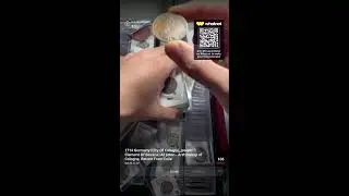 Christian: 3,000 Years of World, Ancient, Shipwreck, Hoard, and U.S. Coin History