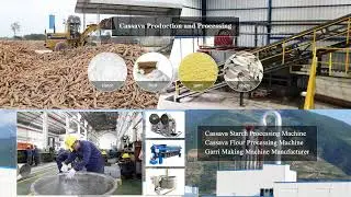 Garri/cassava flour production line equipment introduction