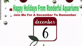 Ronderful Aquariums December2bRemember Dec  6th Aqua Culture 10-20 Gal Steel Aquarium Stand Unboxing