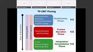 Trauma-Focused Cognitive Behavioral Therapy (TF-CBT) for Children in Foster Care