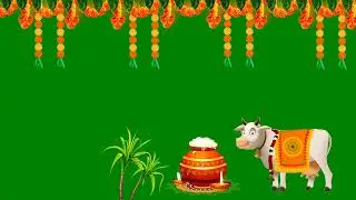 Mattu pongal green screen | 2023 | pongal | 4k | @shahulgreenscreen