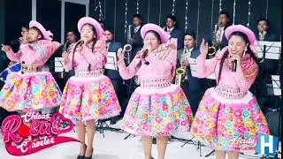 Chicas Rosas Y Claveles / Chelita Amiga / Santiago 2023