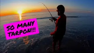 TARPON Fishing From THE BEACH!!! | These Fish Are So Frustrating!