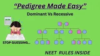Pedigree Chart Made Easy | Autosomal & Sex- Linked Inheritance | NEET| NCERT Biology 