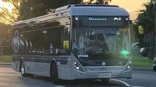 New Zealand/NZ Auckland Bus - 31: From Botany Town Centre to Mangere Town Centre (12.12.2025)